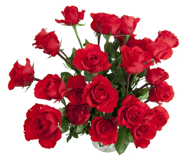24 Roses in Glass Vase — Stock Photo, Image
