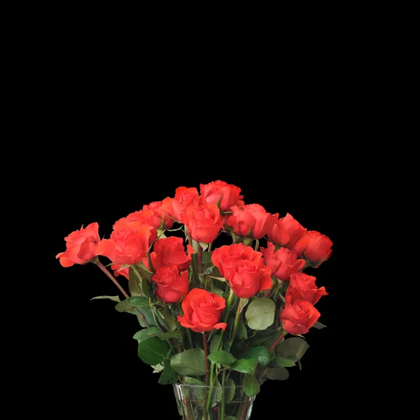 下記の幹と黒の背景上の単一のバラと右上の赤いバラ 両側に Copyspace — ストック写真