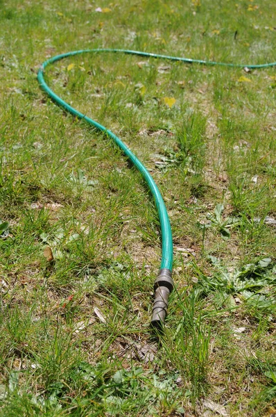 Hose Laying on Dry Lawn — Stock Photo, Image