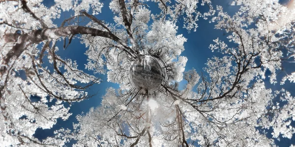 これは青い空を背景に白の Foilage の木の美しい 360 180 高ダイナミック レンジの赤外線写真です — ストック写真