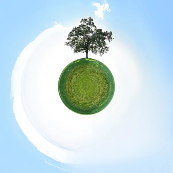 Μικρό πλανήτη με ενιαίο δέντρο — Φωτογραφία Αρχείου