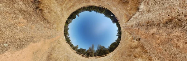 Dry Grass Field 360X180 Panorama Stitch Mapped Stereographic Form Appears — Stock Photo, Image
