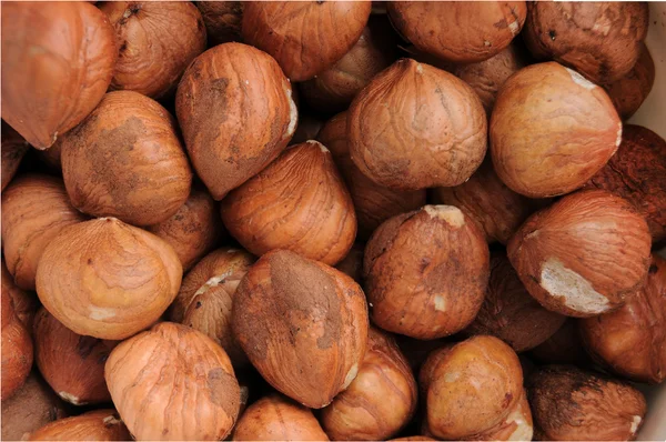 Closeup syrové lískové ořechy — Stock fotografie
