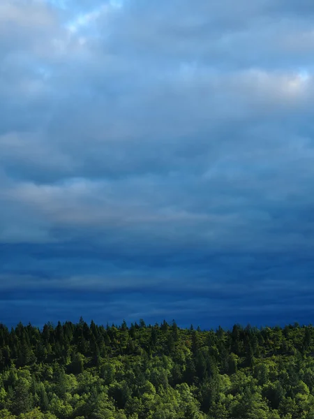 Лесные Деревья Против Голубого Неба Над Горизонтом Грозовыми Облаками — стоковое фото