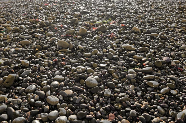 해변 바위 — 스톡 사진