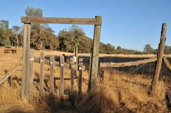 Portão Cerca Desgastado Com Campo Trigo Atrás Dele — Fotografia de Stock