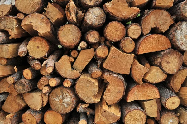 Güzel Bir Yığın Odun Günlükleri Tüm Yığılı Birlikte — Stok fotoğraf
