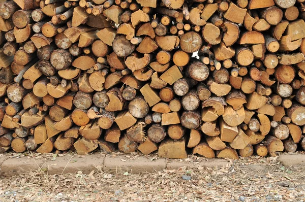 Güzel Bir Yığın Odun Günlükleri Tüm Yığılı Birlikte — Stok fotoğraf