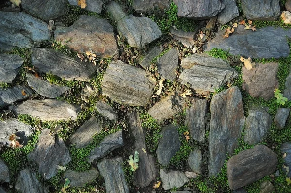 Gartensteine Mit Gras Und Kleeblättern Die Zwischen Den Flachen Mauerfelsen — Stockfoto