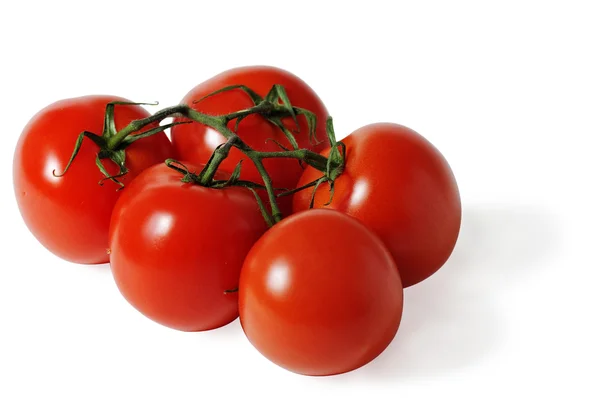 stock image Red tomatoes isolated on a white background