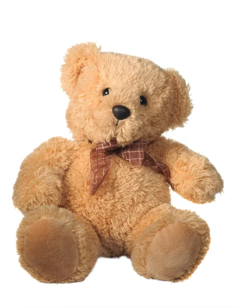 Медведь Тедди Изолирован Белом Фоне Лицензионные Стоковые Изображения