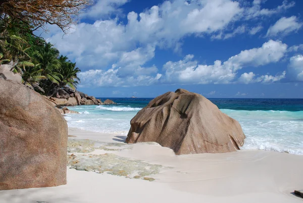 Anse dolma, traumhafter strand auf der Insel la digue - seychellen