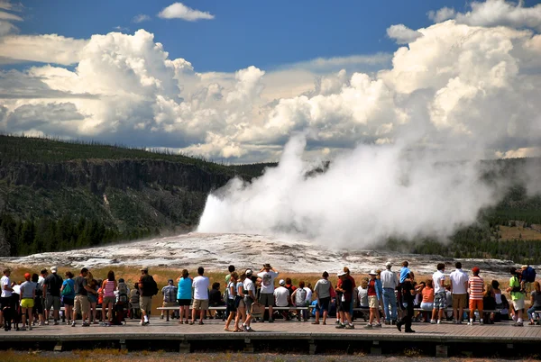 stock image Geysir 