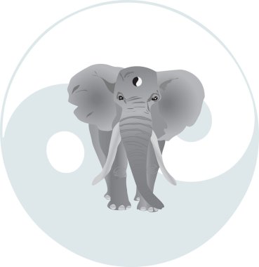 A great elephant from africa or india sends a signal of warning clipart