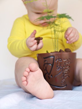 çocuk elinde pot bitki