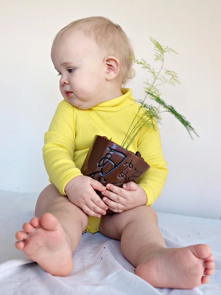Kind Handen Van Potplant — Stockfoto