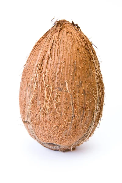 Muttern Kokosfibrer Palm Isolerade — Stockfoto