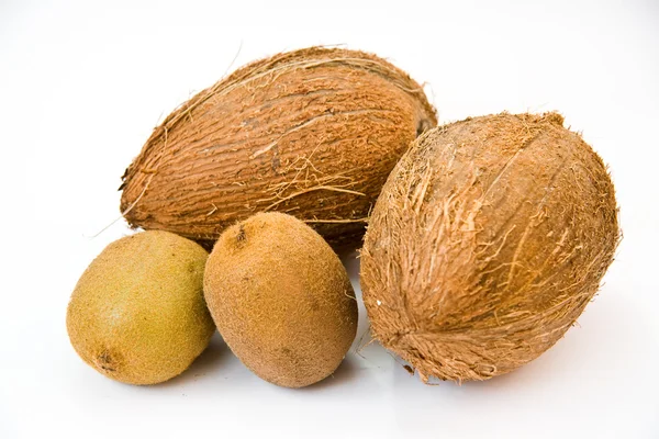 stock image Nut of coconut palm and kiwi