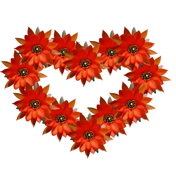 Kalp kırmızı çiçekler — Stok fotoğraf