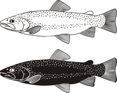 Fish fly black illustration wildlife trout fishing clipart