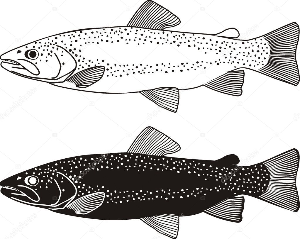 Fish fly black illustration wildlife trout fishing