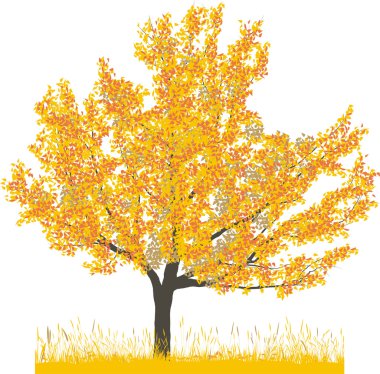 Cherry tree in autumn clipart