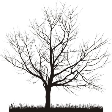 Vector illustration of cherry tree in winter clipart