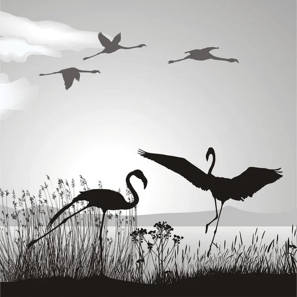 Flamingo en la orilla del lago — Archivo Imágenes Vectoriales
