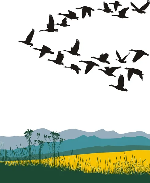 Migrating geese in the spring — Stock Vector