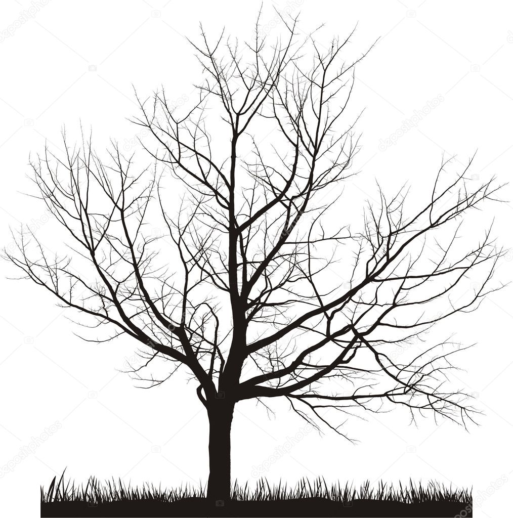 Vector illustration of cherry tree in winter
