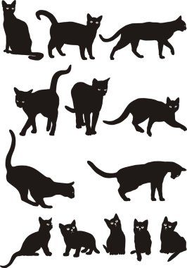 Cats vector clipart