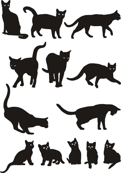 Vecteur chats — Image vectorielle