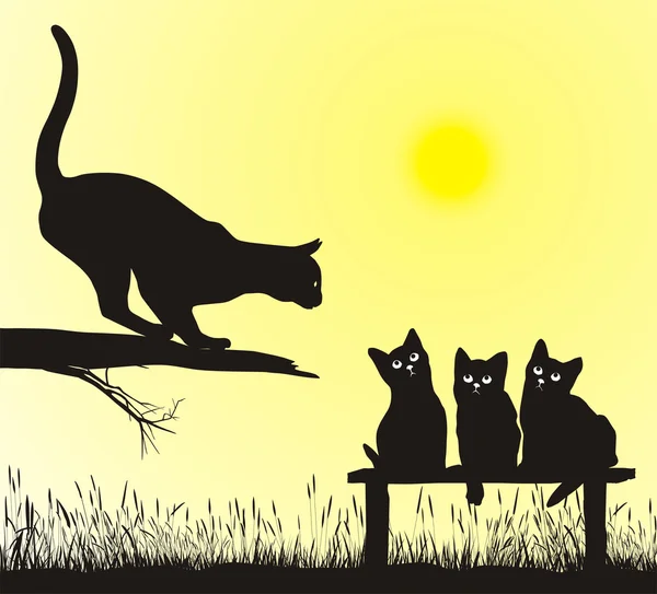 Escuela de gatos — Archivo Imágenes Vectoriales