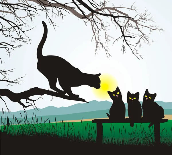 Katzenschulspringen — Stockvektor