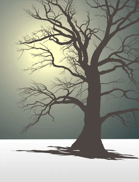Σιλουέτα Ενός Παλιού Δέντρου Χειμώνα Και Θαμπή Ομίχλη — Διανυσματικό Αρχείο