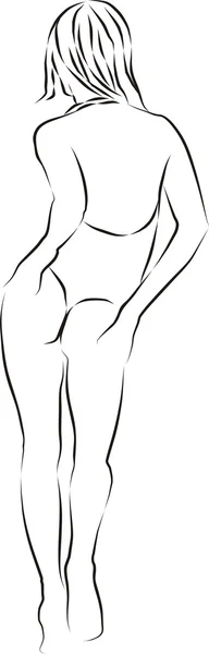 Zeichnung Junger Frauen Bikini — Stockvektor