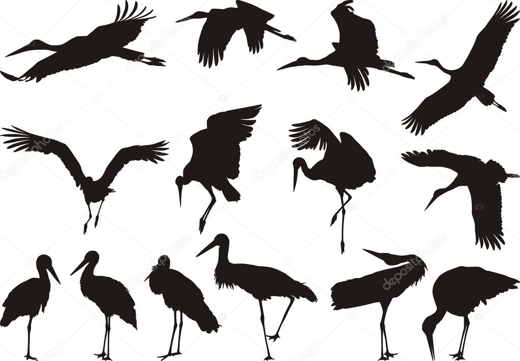 Download Stork silhouettes - vector — Stock Vector © vlado #4798662