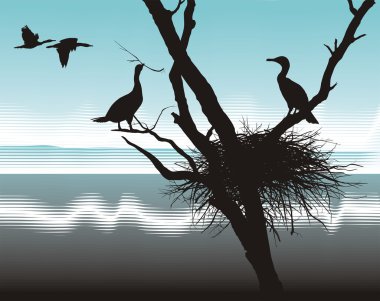 Vector illustration cormorants nest in the dry tree clipart