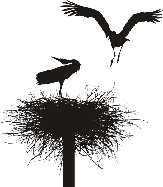 Silhouettes Two Storks Nest — Stock Vector