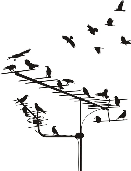 Crows on the antenna — Stock Vector