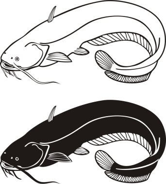 Black and white vector illustration of a catfish clipart