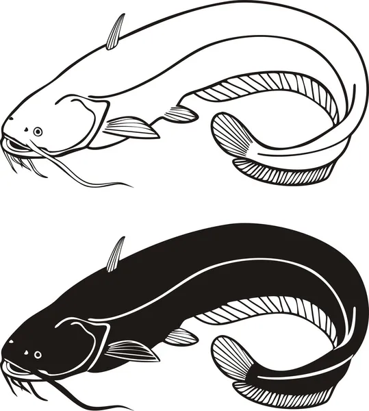Ilustrasi Vektor Hitam Dan Putih Dari Ikan Lele - Stok Vektor