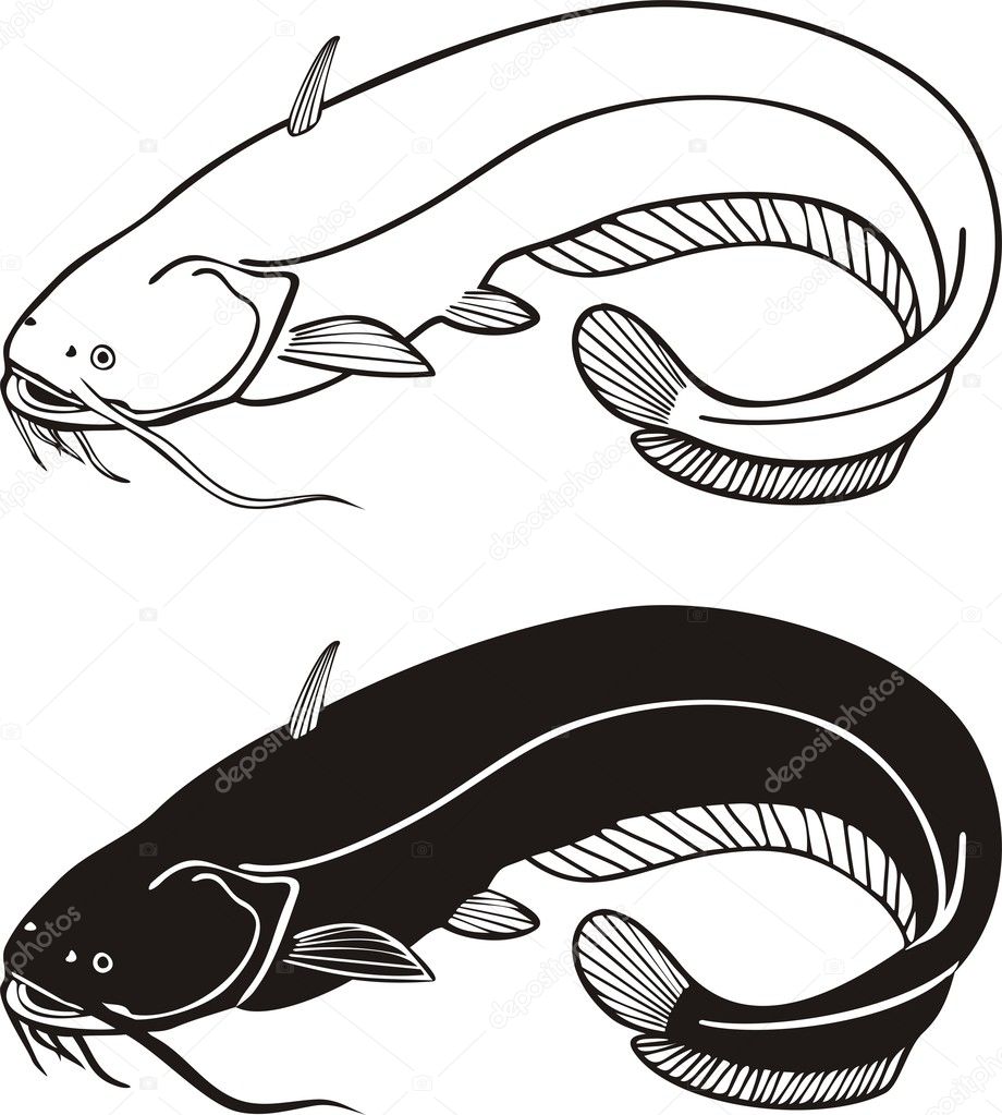 Black White Vector Illustration Catfish Stock Vector by ©vlado 4934334