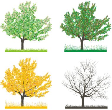 Tree in four sections of the four seasons, spring, summer, autumn and winter clipart