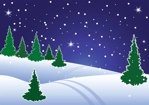 在晚上的冬季杉木树林矢量插画 — 图库矢量图片