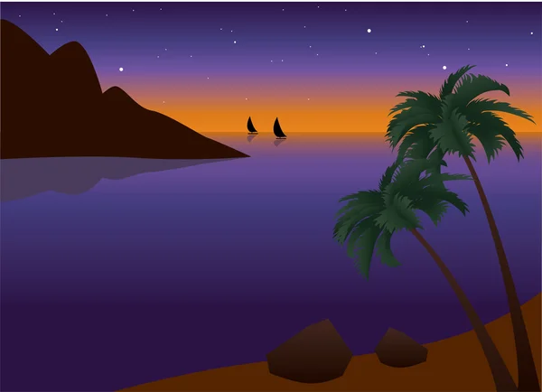 Tropikalnych palm beach — Wektor stockowy