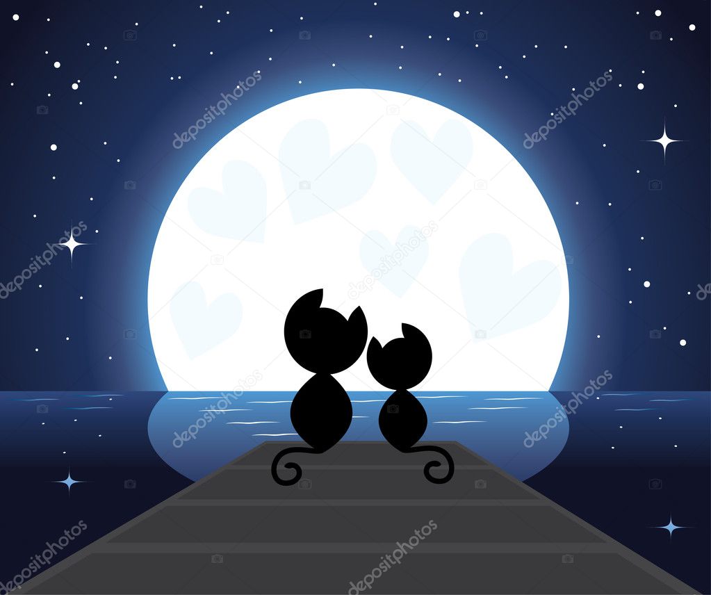 Vector illustration of two cats in love sitting on the bridge watching on the moon