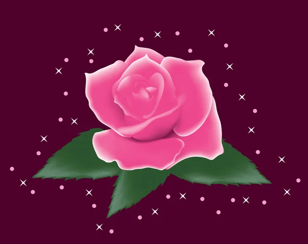 Róża Różowy Wektor Liści — Wektor stockowy