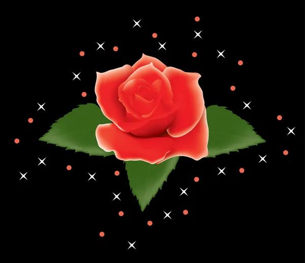 Red rose — Stock Vector