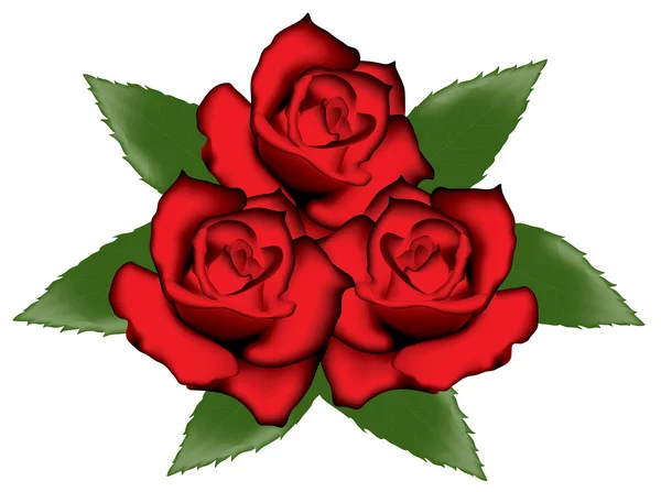Mawar merah - Stok Vektor